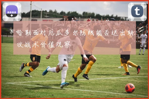哈勒面对厄瓜多尔防线能否送出助攻战术价值观察