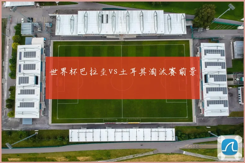 世界杯巴拉圭vs土耳其淘汰赛前景