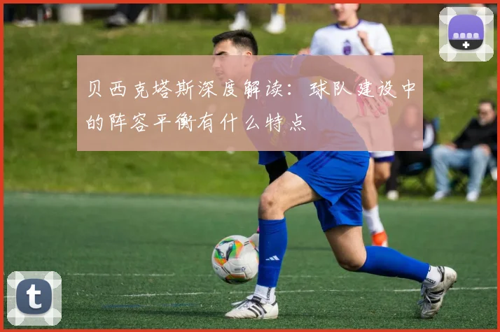 贝西克塔斯深度解读：球队建设中的阵容平衡有什么特点