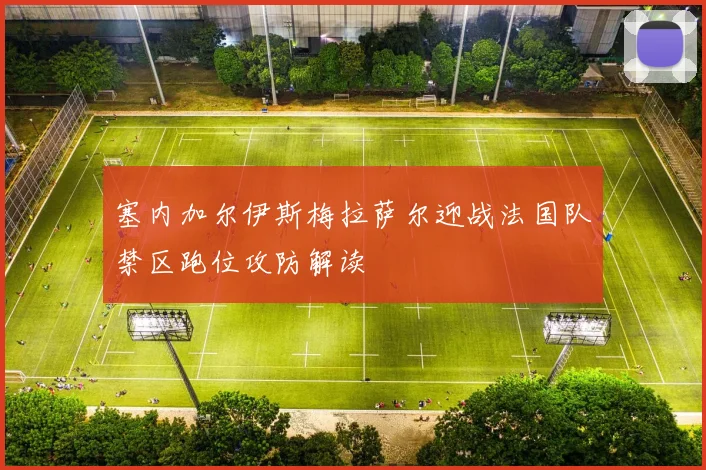 塞内加尔伊斯梅拉萨尔迎战法国队禁区跑位攻防解读